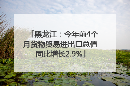 黑龙江：今年前4个月货物贸易进出口总值同比增长2.9%